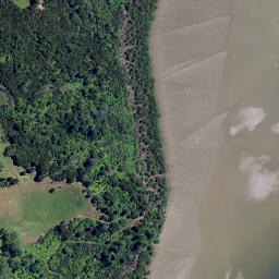 Satellite imagery of Kopaki Point, NZ