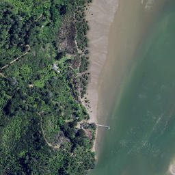 Satellite imagery of Kopaki Point, NZ