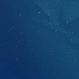 Satellite imagery of Cave Point, NZ