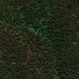 Satellite imagery of Wolumla Peak, AU