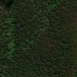 Satellite imagery of Wolumla Peak, AU