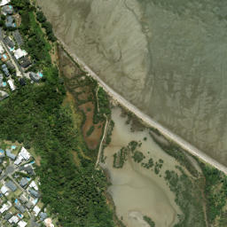 Satellite imagery of Tahuna Torea, NZ
