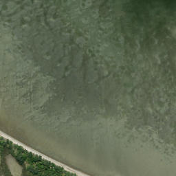 Satellite imagery of Tahuna Torea, NZ