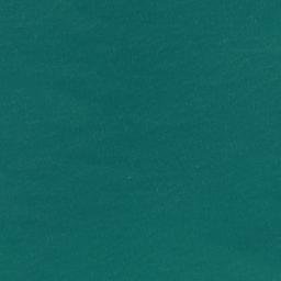 Satellite imagery of Schnapper Point, NZ