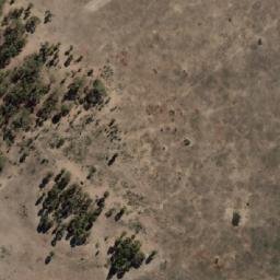 Satellite imagery of Young Hill, AU