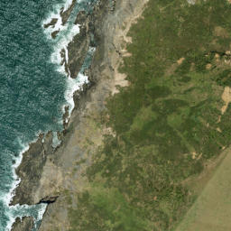 Satellite imagery of Raetahinga Point, NZ