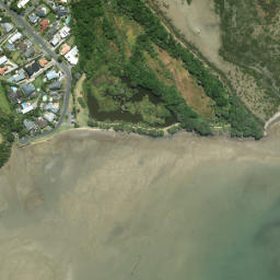 Satellite imagery of Tahuna Torea, NZ