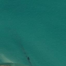 Satellite imagery of Schnapper Point, NZ