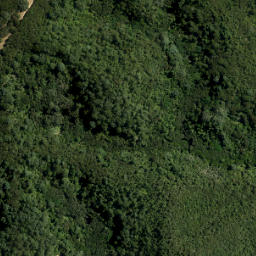 Satellite imagery of 20 PONUI, NZ