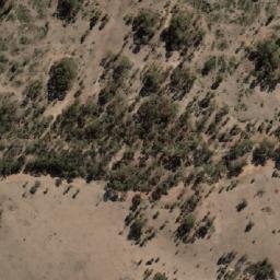 Satellite imagery of Young Hill, AU