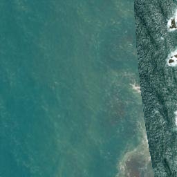 Satellite imagery of Raetahinga Point, NZ