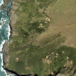 Satellite imagery of Raetahinga Point, NZ