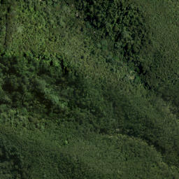 Satellite imagery of 20 PONUI, NZ