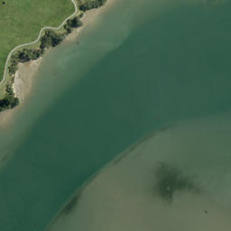 Satellite imagery of Point England, NZ