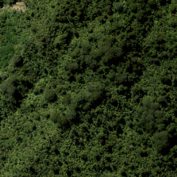 Satellite imagery of S PUKEMATEKEO, NZ
