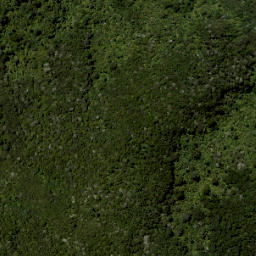 Satellite imagery of Smythe Ridge, NZ