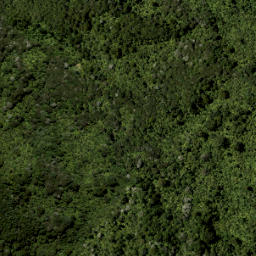 Satellite imagery of Smythe Ridge, NZ