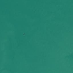 Satellite imagery of Pawhetau Pa, NZ