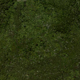 Satellite imagery of Smythe Ridge, NZ
