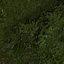 Satellite imagery of Smythe Ridge, NZ