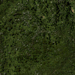 Satellite imagery of Smythe Ridge, NZ