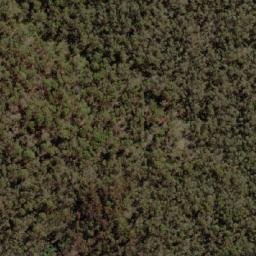 Satellite imagery of Rams Horn, AU