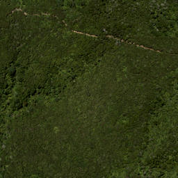 Satellite imagery of 687 KUATAIKA, NZ