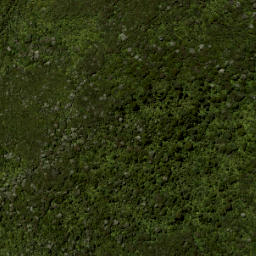 Satellite imagery of 687 KUATAIKA, NZ