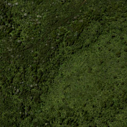 Satellite imagery of Smythe Ridge, NZ