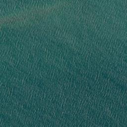 Satellite imagery of Te Tamuiti Point, NZ