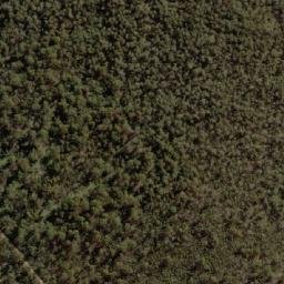 Satellite imagery of Rams Horn, AU