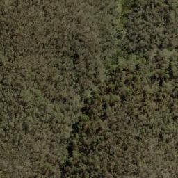 Satellite imagery of Rams Horn, AU