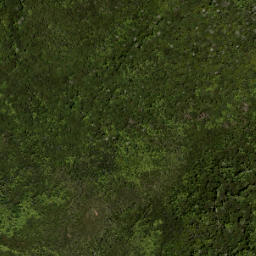 Satellite imagery of 687 KUATAIKA, NZ