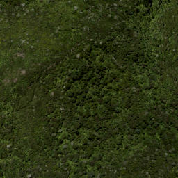 Satellite imagery of 687 KUATAIKA, NZ