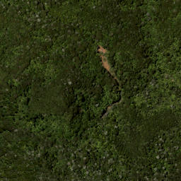 Satellite imagery of 687 KUATAIKA, NZ