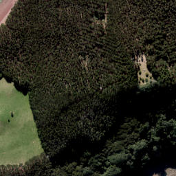 Satellite imagery of Te Tamuiti Point, NZ