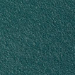 Satellite imagery of Te Tamuiti Point, NZ