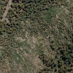 Satellite imagery of Mount Leinster, AU