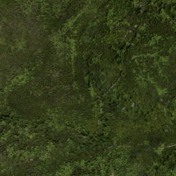 Satellite imagery of 687 KUATAIKA, NZ