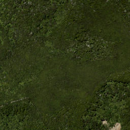 Satellite imagery of 687 KUATAIKA, NZ