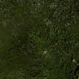 Satellite imagery of 687 KUATAIKA, NZ