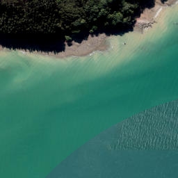 Satellite imagery of Te Tamuiti Point, NZ