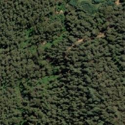 Satellite imagery of Sambas Mine, AU