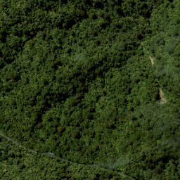 Satellite imagery of RUAOTUWHENUA NO 2 SO 66200, NZ