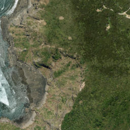 Satellite imagery of Fishermans Rock Point, NZ
