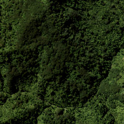 Satellite imagery of 4241, NZ