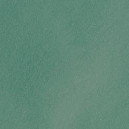 Satellite imagery of Mataitai Point, NZ
