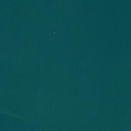 Satellite imagery of Papanui Point, NZ