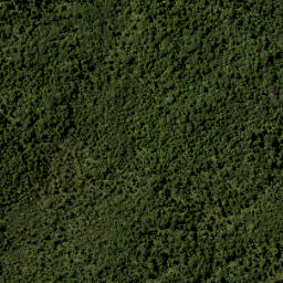Satellite imagery of RUAOTUWHENUA NO 2 SO 66200, NZ