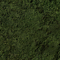 Satellite imagery of RUAOTUWHENUA NO 2 SO 66200, NZ